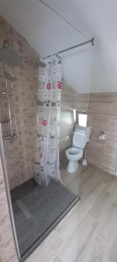 Pensiune Restaurant Alex Copalnic-Manastur Zewnętrze zdjęcie