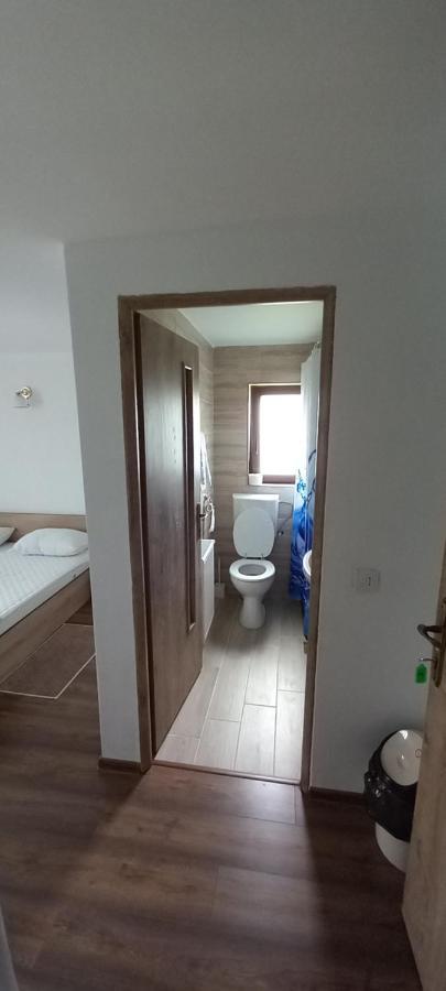Pensiune Restaurant Alex Copalnic-Manastur Zewnętrze zdjęcie
